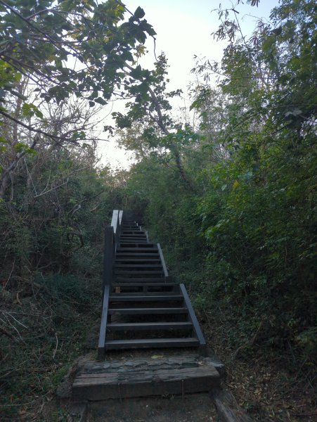 2025.01.29－新年走春：墾丁龜山2706129