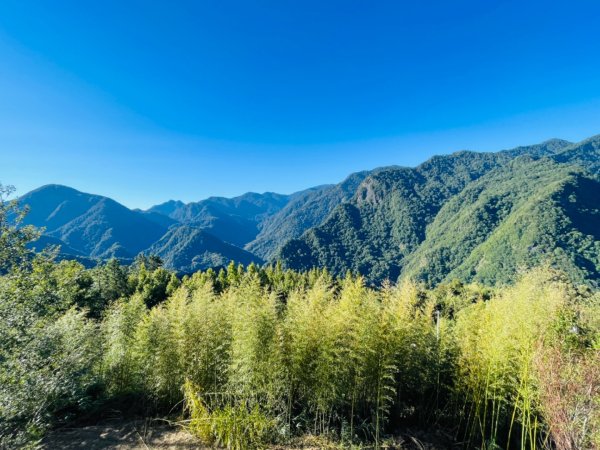 1140825司馬庫斯新巨木園區-司立富瀑布-部落觀景台2871144