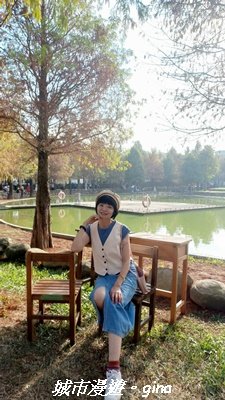 【南投名間】欣美創意園區~落羽松2968329