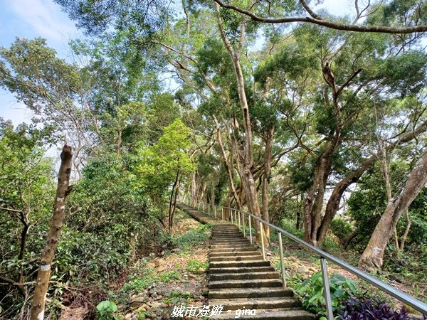 【彰化員林】綠樹林間散散步。 臥龍坡步道1691261