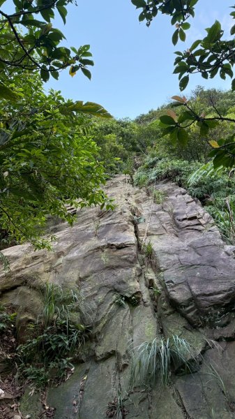 新北 瑞芳 禮樂-保羅尖-雙鬼小霸尖-石梯坑山-半屏瀑布-小錐麓-水管隧道-香巴拉隧道-半屏溪-禮樂2955496