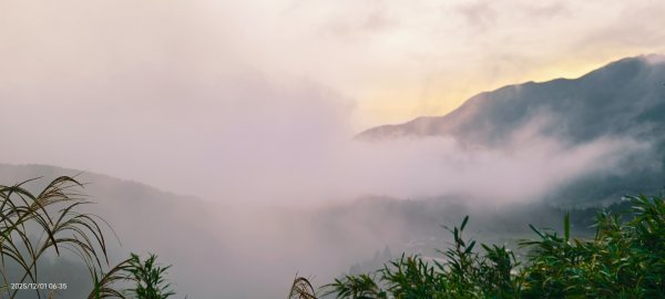 #陽明山 趴趴走12/12950340