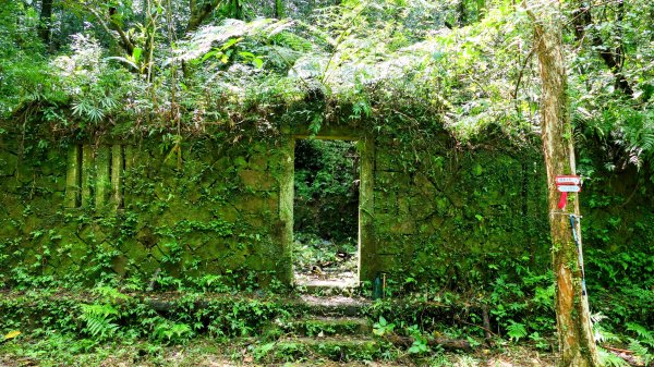 雙溪下坑古道2859477