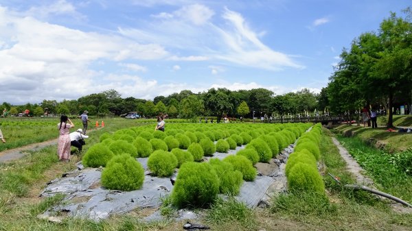 冬山河生態綠舟,羅東林業文化園區2230134