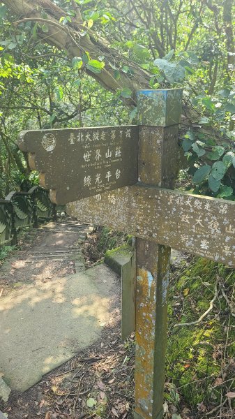 2025-0310臺北大縱走第七段2737277