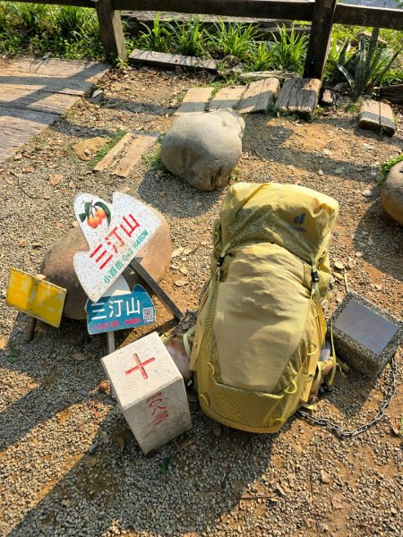 台中咬人狗坑～三汀山（小百岳～巧遇大冠鷲）2730249