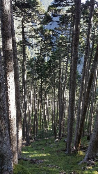 雪山之美，翠池仙境642558