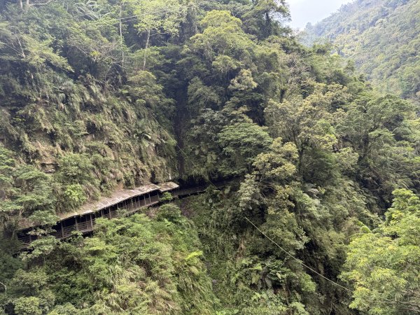 87竹坑溪龍宮瀑布步道11507023124687