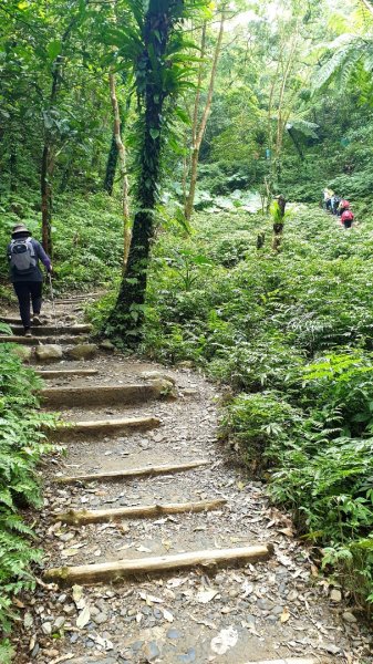 聖母登山步道926826