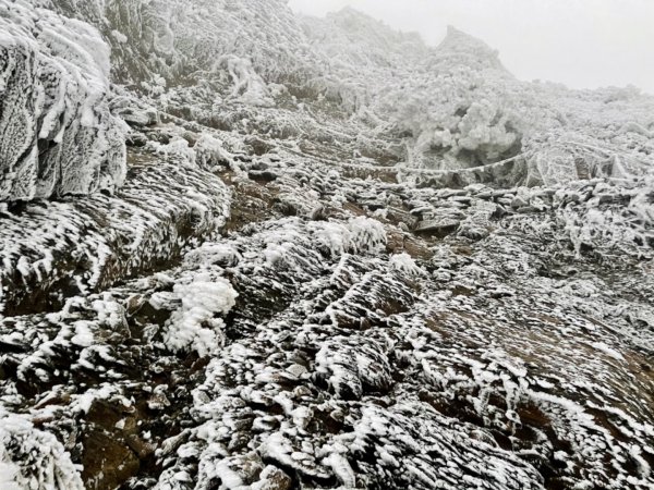 絕美銀白世界 玉山降下今年冬天「初雪」1235983