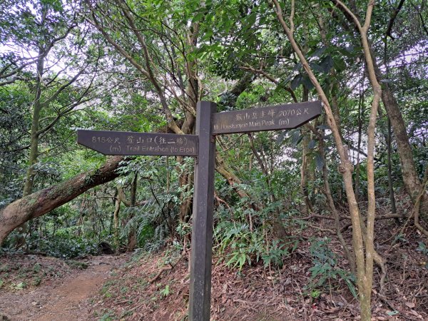 2026微笑山線筆架連峰段3103649
