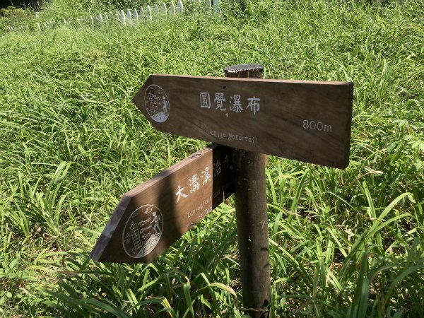 2022.07.31 【臺北大縱走第四段】大湖公園-風櫃嘴：圓覺寺瀑布、白石湖吊橋、碧山、梅花山1799285