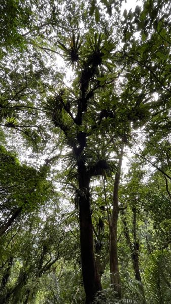 石碇_皇帝殿2884137