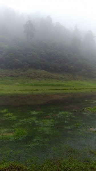 松蘿湖584167