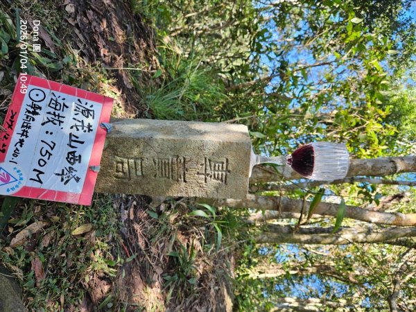 20260104源茂山.源茂山西峰.和尚髻山O走+親水觀魚步道2977720