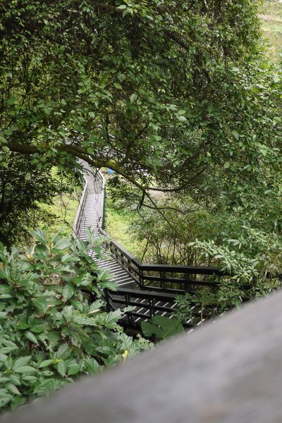 台北大縱走第七段 樟山寺-樟樹步道-茶展中心步道-大成殿步道-指南宮步道1577577