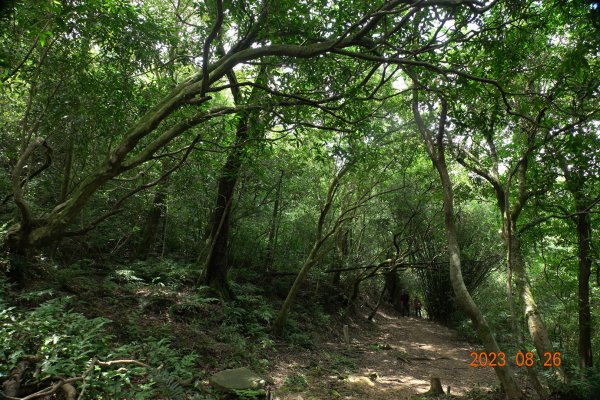 基隆 頂寮山、龍門山、五分山、頂子寮山2265975