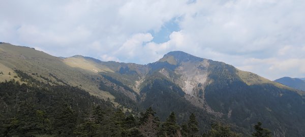 2021-4-13 合歡山、小奇萊步道 - 高山杜鵑1350343