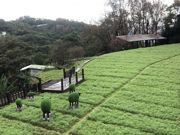 第七段 世界山莊-飛龍步道政大後山1587796