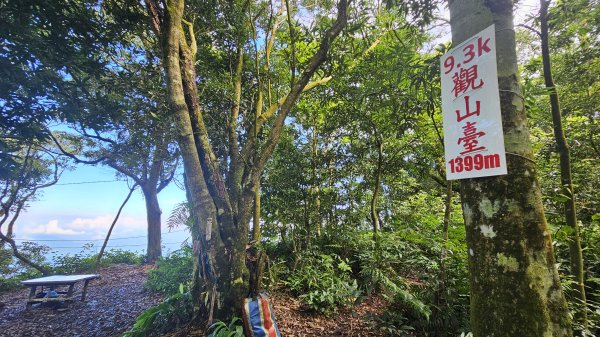 【12訪尾寮山-魔王小百岳】哥走的不是山，走的是平靜與滿足。2900570