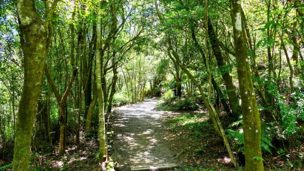 內雙溪自然中心2808690