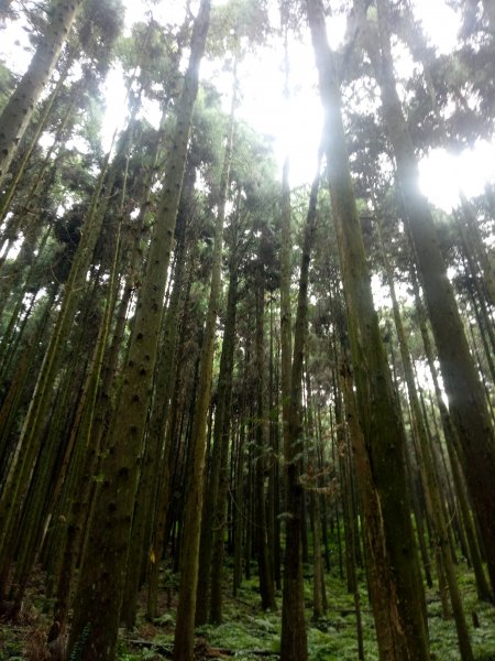 三角湖山向天湖山光天高山O形1911605