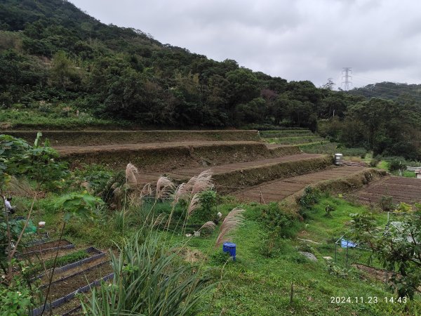 【臺北大縱走 7】3-3 相思炭窯→樟樹步道→彩雲亭→樟山寺→飛龍步道→政大校園→市府轉運站2654582