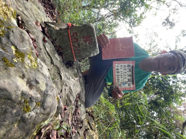 20251114_西阿里關山（高雄小百岳）2941479