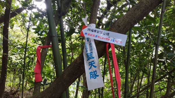 ✅興福寮新稜山徑/下稜竹林山徑至橫斷東線叉 (總計3段陡坡架繩.更新路條149.下稜修徑完成)2382456