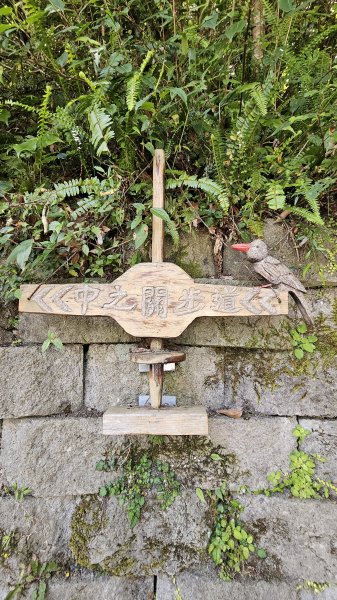 【被遺忘的南橫仙境】中之關、天池步道O繞10K2798206