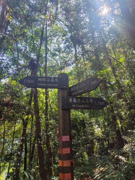 唐麻丹山 蝴蝶谷2918967