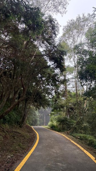 再也不爬囉（告別20252973144