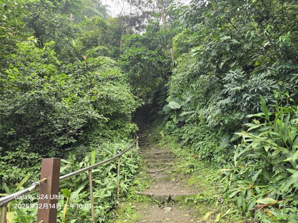 2025-12-14微笑山線：【二格山系】銀河洞越嶺段2962125