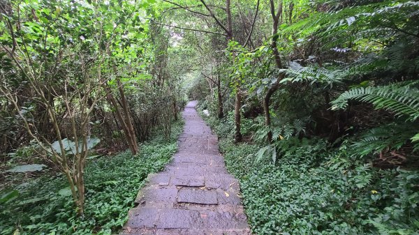 2020-0611觀音山硬漢嶺1066699