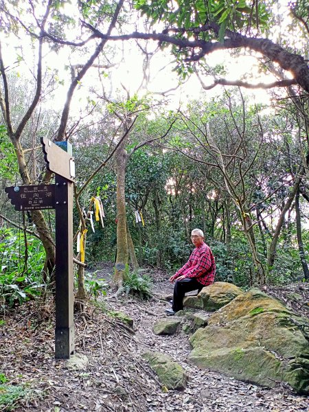 【臺北大縱走 4】大崙頭山北面步道1249614