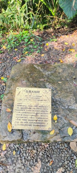 福源山步道2730329