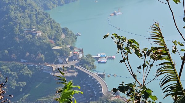 20251216太平山石門山小粗坑山O型+蕃薯藤TINA廚房2972573