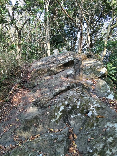 小百岳：西阿里關山1325343