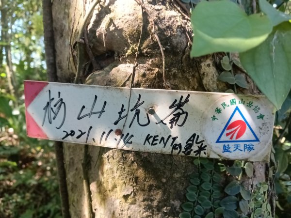 坪林區南闊瀨行(枋山坑古道+枋山坑崙+闊瀨越嶺保甲路O型)2916782