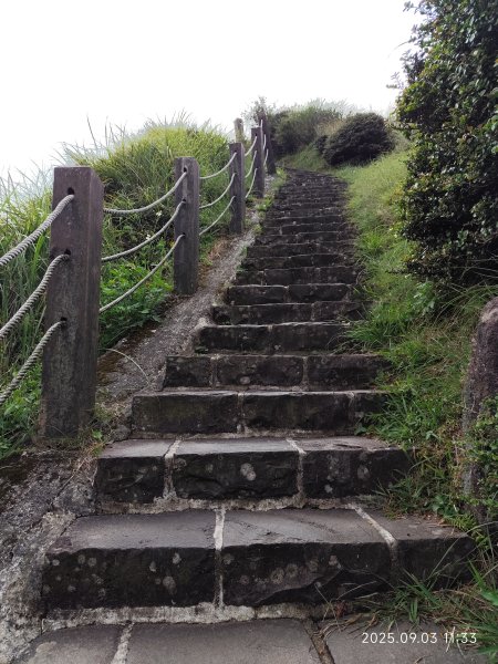 【臺北大縱走 2、3、4】冷水坑→七星山主東峰步道→冷擎步道→小油坑→鵝尾山→內湖許願步道2878896