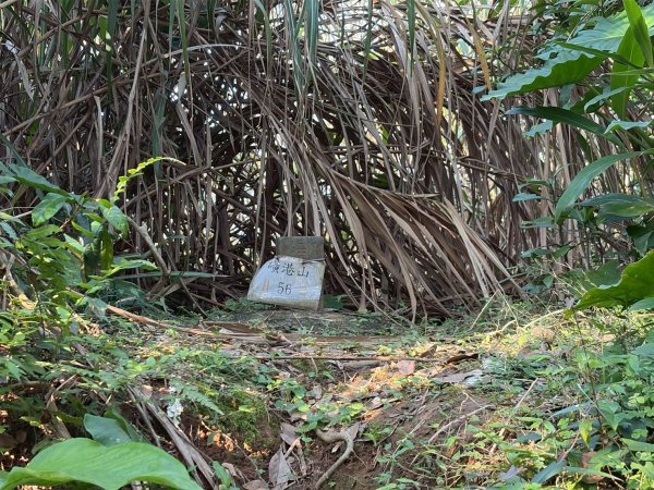 新北 金山 磺港山 獅頭山3000197