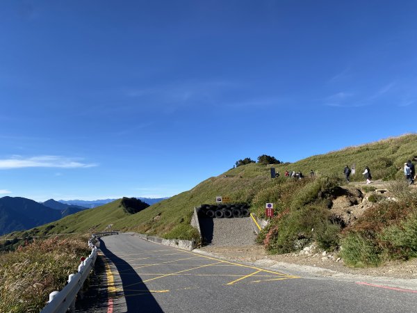 合歡山東峰3065451