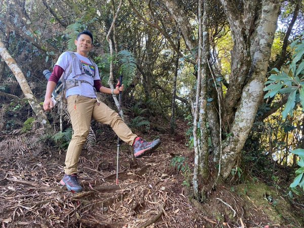 長壽山-醜崠山-鳶嘴山【既優雅又狂野的另類選擇】2673973