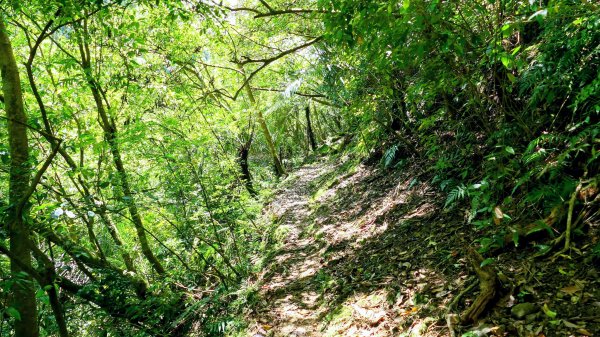 畝畝山。又上說2768157