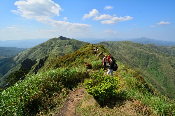 茶壺山O型883005