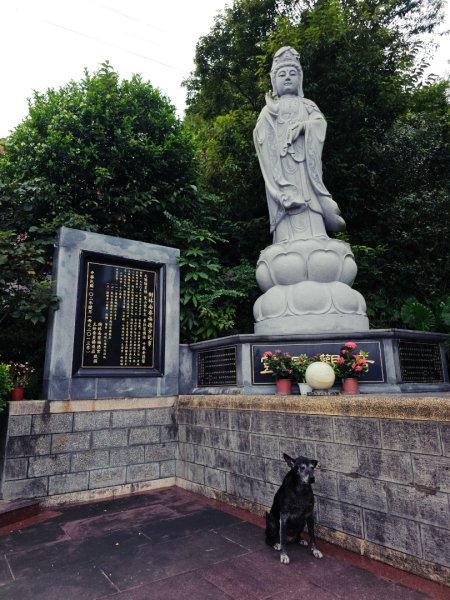 (大棟山系)405高地-2025微笑山線大縱走尋寶集章任務2844183