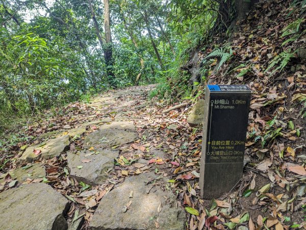 紗帽山史蹟和景觀行：三角點、景觀台、太子亭、清朝古墓／旗杆座、陳何界石2121063