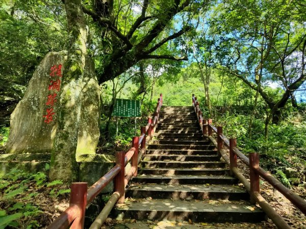 1131017猴洞坑溪步道3100077
