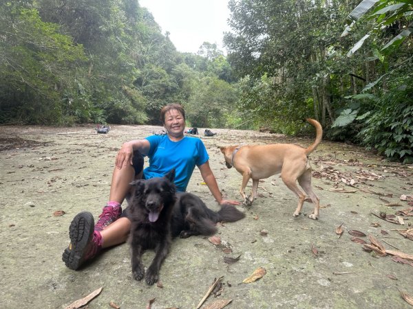 阿里山達娜伊谷、里美避難步道、巨石板步道2909926