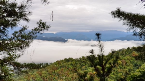 台中大坑頭嵙山海拔859公尺出雲海大景